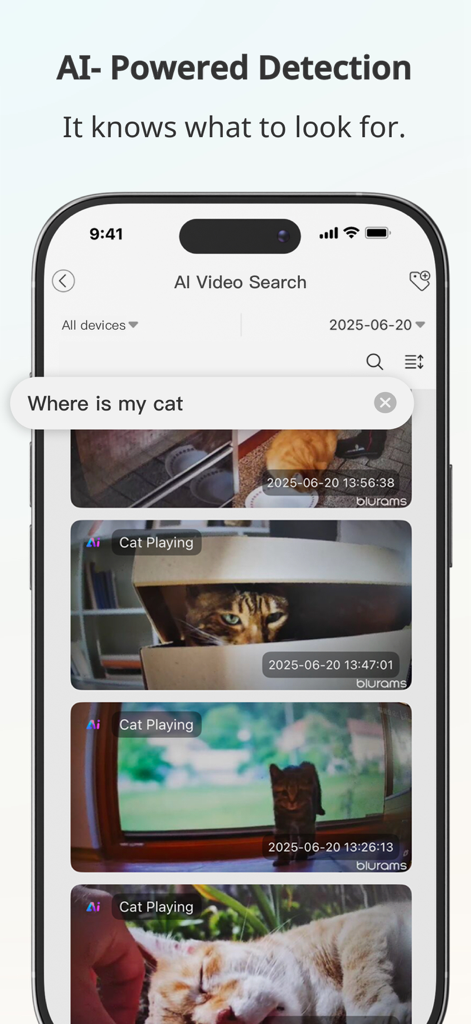 The blurams app AI video search feature showing recorded clips of a cat playing.