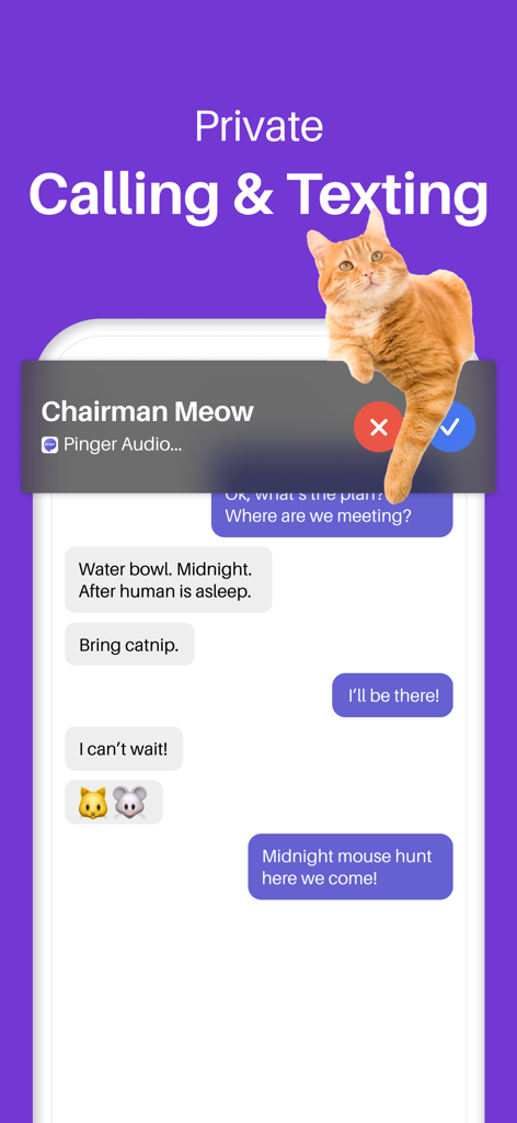 Pinger app screenshot illustrating private calling and texting with a cat notification and chat