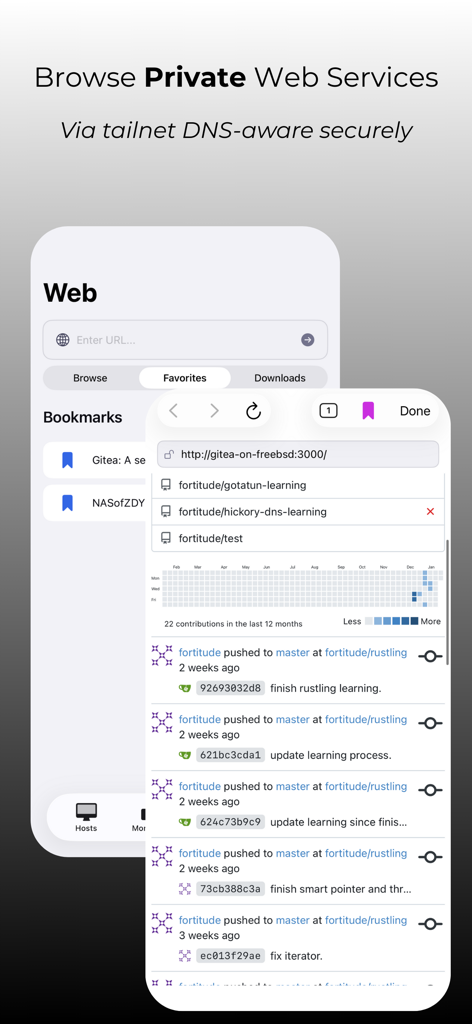 NovaAccess - Tailnet Tools - NovaAccess app interface showing private web services browsing via Tailnet DNS