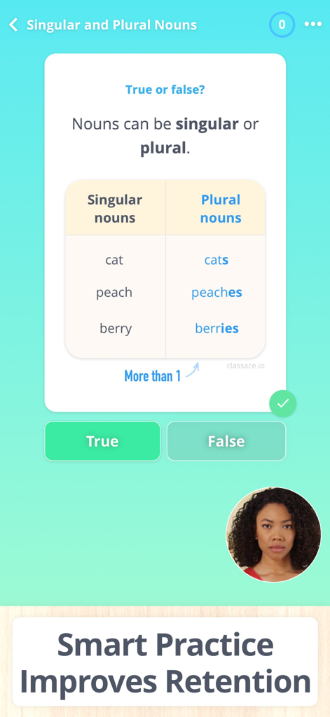 Learn Grammar 3rd Grade - Grammar lesson for 3rd grade students on singular and plural nouns with interactive practice questions.