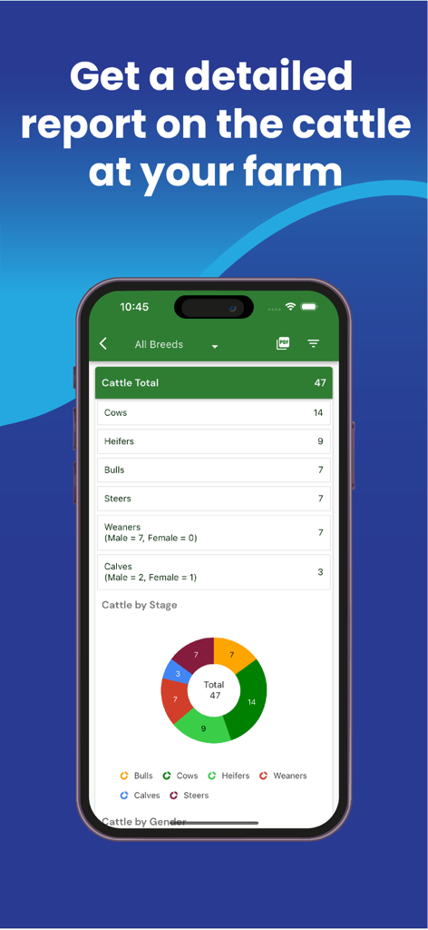 My Cattle Manager App-Bildschirm, der einen detaillierten Inventarbericht und ein Kreisdiagramm der Rinder nach Phase anzeigt