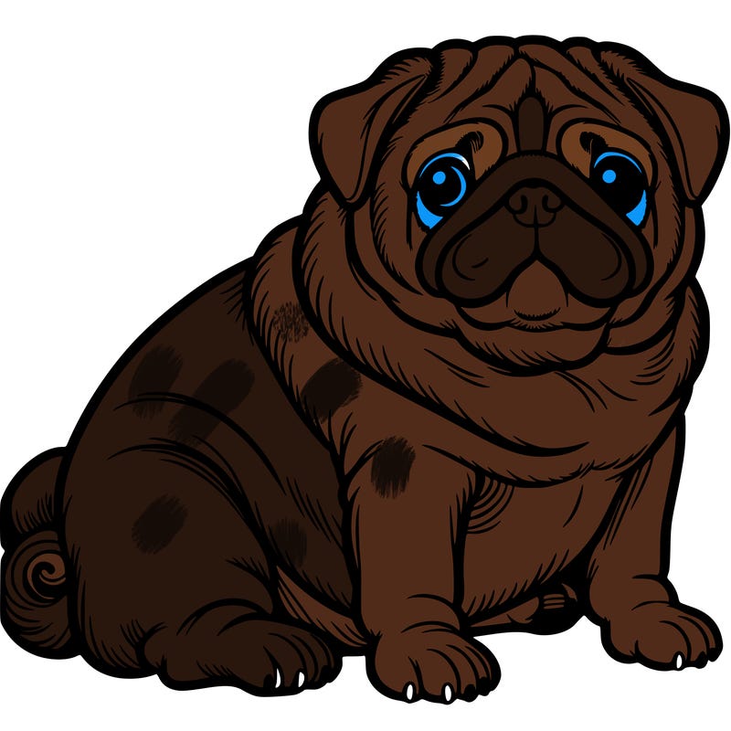 pug