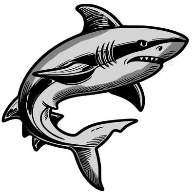 shark