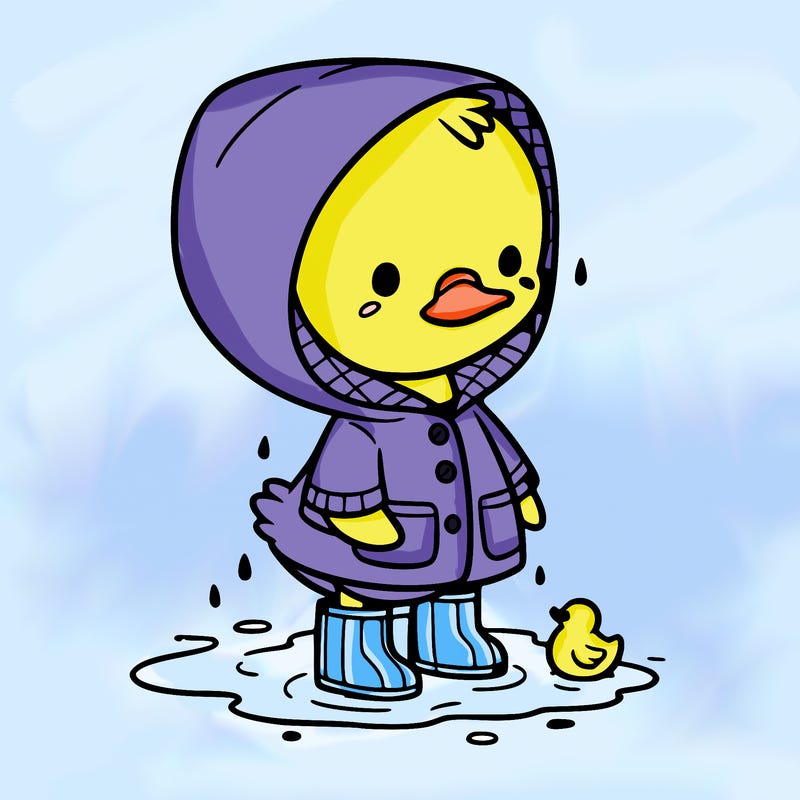 baby duck in a rain coat and boots, in a puddle while it’s raining