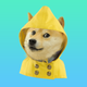 Doge Weather