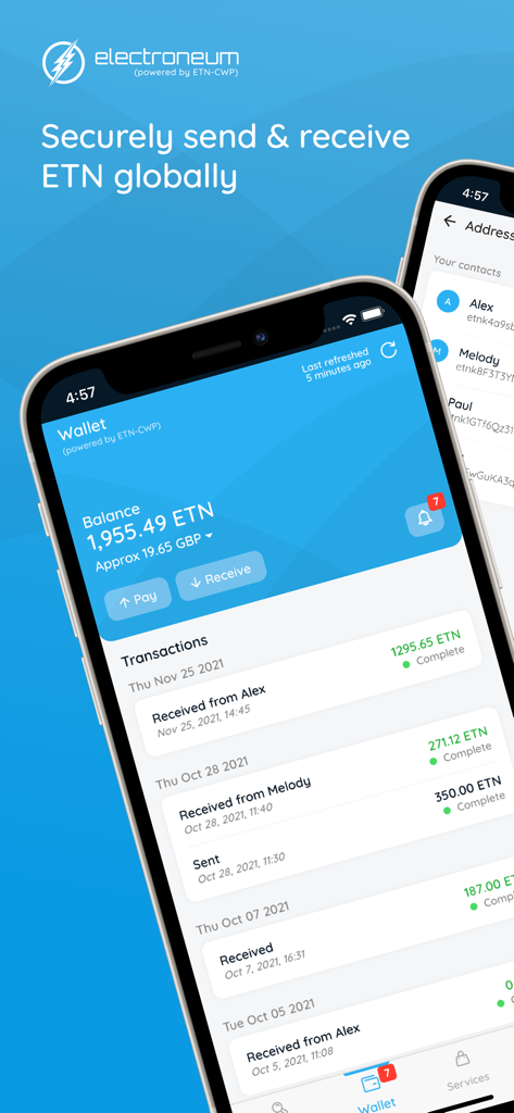 Electroneum - Schermata del portafoglio dell'app Electroneum che mostra saldo e cronologia transazioni su iPhone