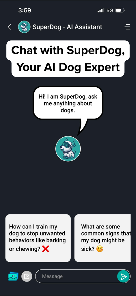 Ein Screenshot der DogPack-App mit SuperDog, einem KI-Assistenten, der über eine Chat-Oberfläche fachkundige Ratschläge zu Hundetraining und Gesundheit gibt.