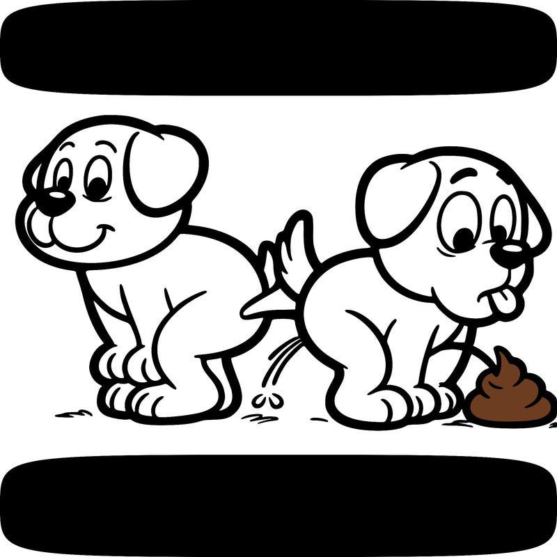 a dog peeing and pooing