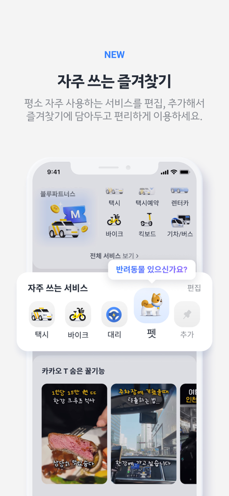 택시, 자전거, 반려동물 동반 운송 옵션을 포함한 다양한 모빌리티 서비스를 표시하는 카카오 T 앱 홈 화면