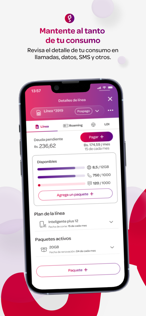 Pantalla de la App Digitel mostrando el detalle de consumo de datos y minutos de una linea telefonica