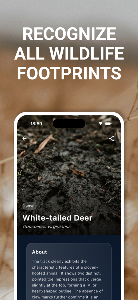 Animal Track Identifier - Animal Track Identifier app showing an AI identification of a white-tailed deer footprint in the mud with a 90% confidence score.