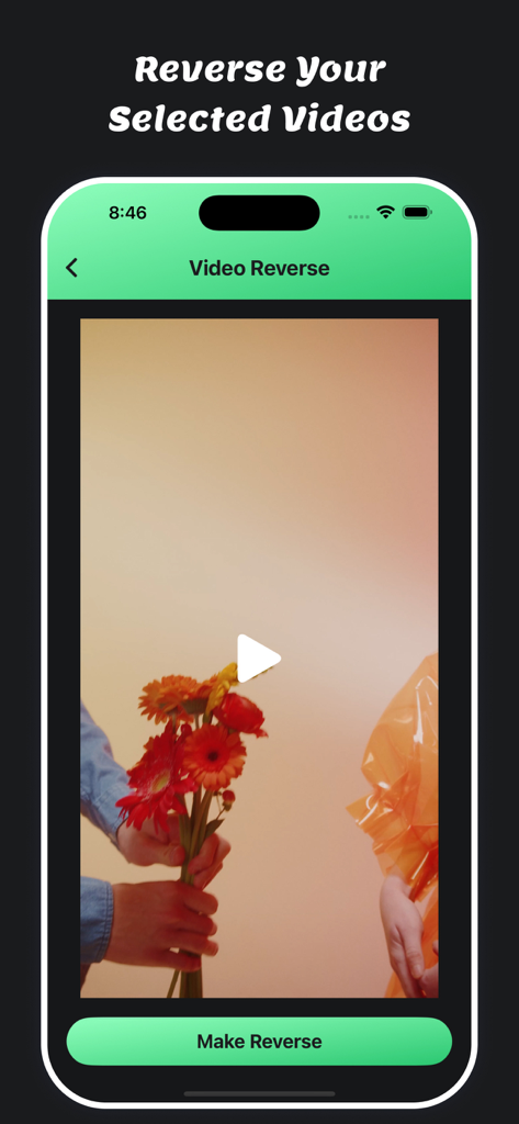 Mute Video : Remove Sounds - Screenshot der Videoumkehrfunktion in der Mute Video App, der ein Werkzeug zum Umkehren ausgewählter Videoclips zeigt.