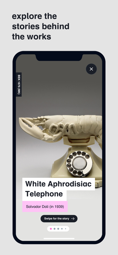 Depot Boijmans - サルバドール・ダリのホワイト・アフロディテ・テレホンのストーリーを表示するデボット・ボイマンスモバイルアプリ