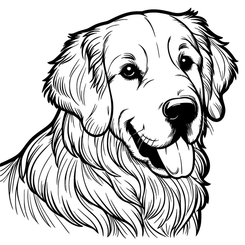 realistic golden retriever