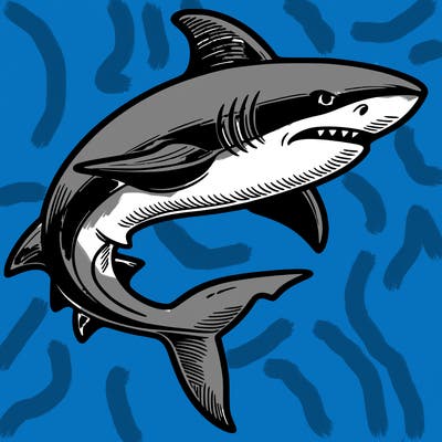 shark