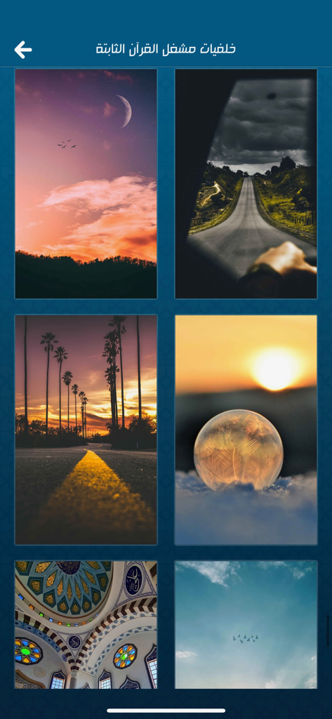 Selection of fixed background themes for the Quran player screen featuring nature landscapes and mosque architecture