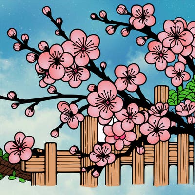 japan cherry blossom