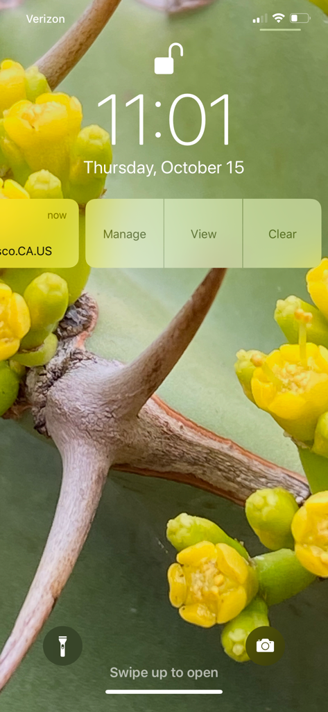 DigitalPersona - Notification push DigitalPersona affichée sur l'écran de verrouillage d'un iPhone avec des options de gestion et d'affichage.