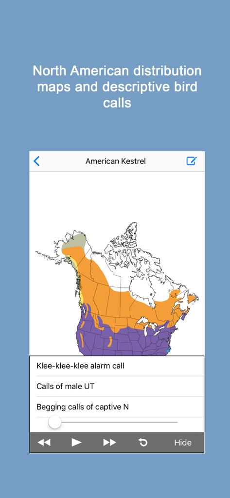 Sibley Birds 2nd Edition - Um mapa de distribuição na América do Norte para o Falcão-quiriquiri e um reprodutor de áudio para cantos de aves no aplicativo Sibley Birds.