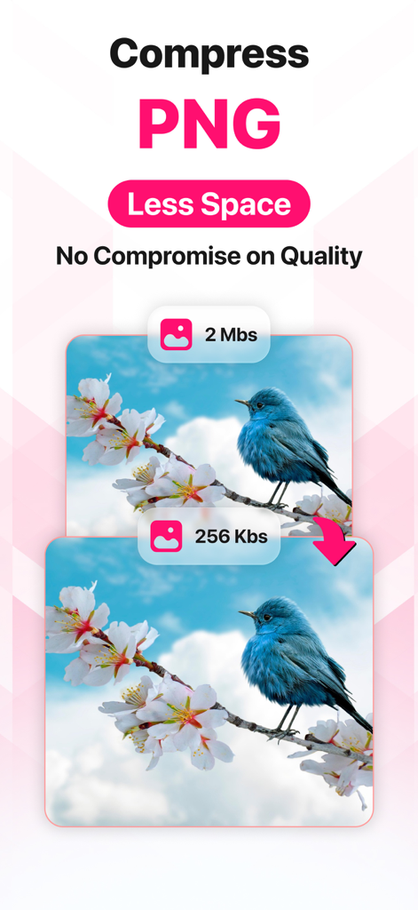 Image Converter • JPG to PDF - Visueller Vergleich, der die PNG-Komprimierung von 2 Megabyte auf 256 Kilobyte ohne Verlust der Bildqualität zeigt.