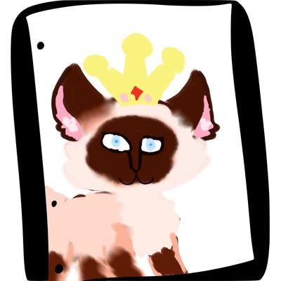 blank white page with nothing drawn on it