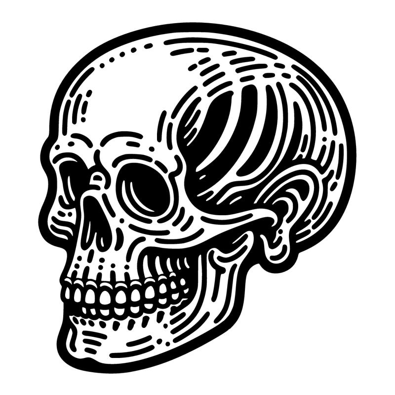 skeleton skull