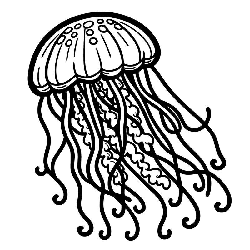 jellyfish