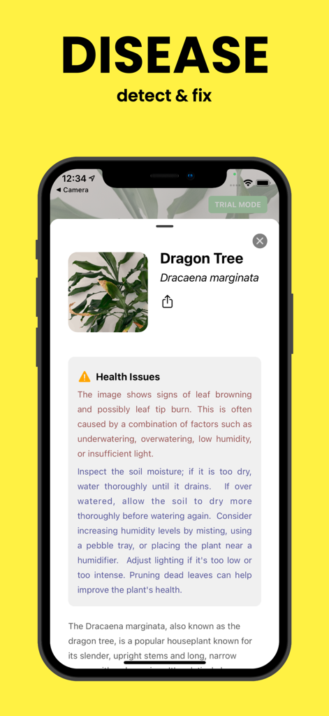 PlantScan - Detect & Diagnose - Tela do smartphone mostrando a interface do aplicativo PlantScan com um diagnóstico de saúde e dicas de cuidados para uma Dracena com folhas marrons.