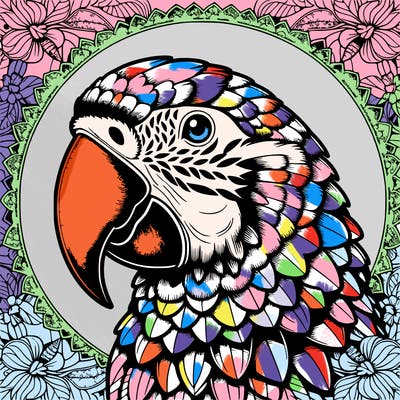 realistic parrot mandala