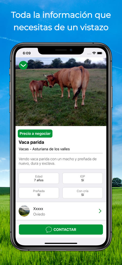 Vacapop - Compraventa ganadera - Vacapop app screenshot showing a cow listing with breed information and contact button
