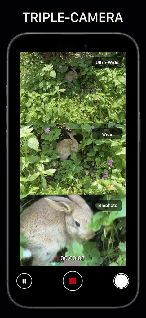 Triple-camera split screen interface showing simultaneous ultra-wide wide and telephoto views of a rabbit in the grass.