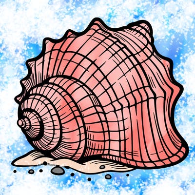 sea shell