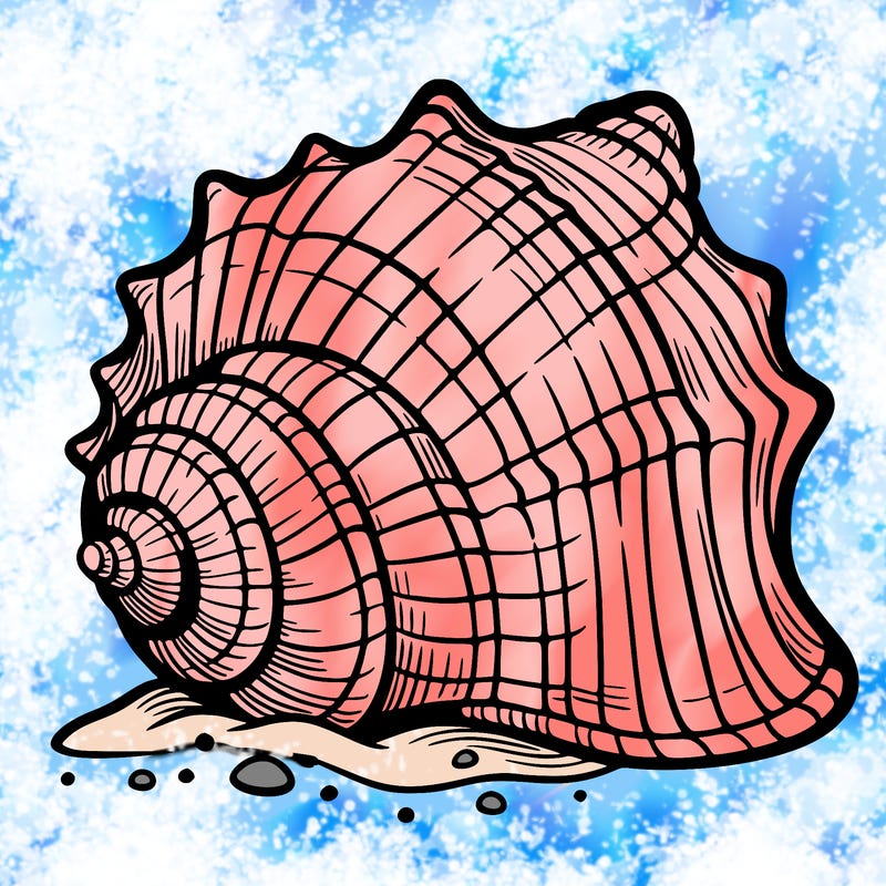 sea shell