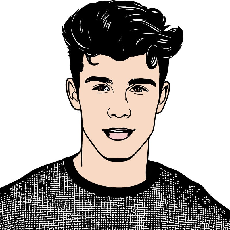 shawn mendes