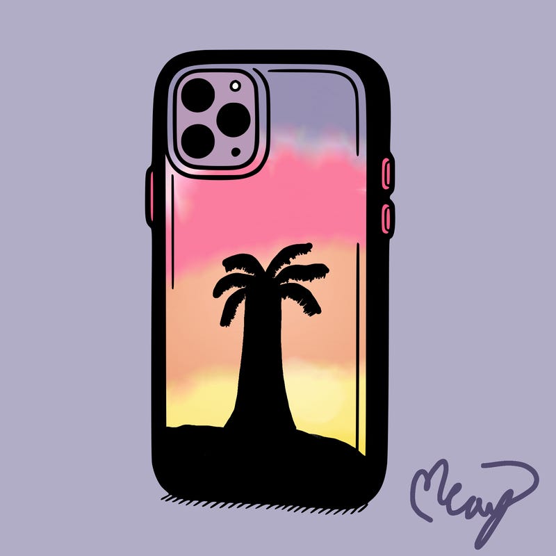 phone case