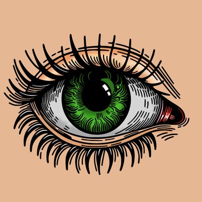 eye