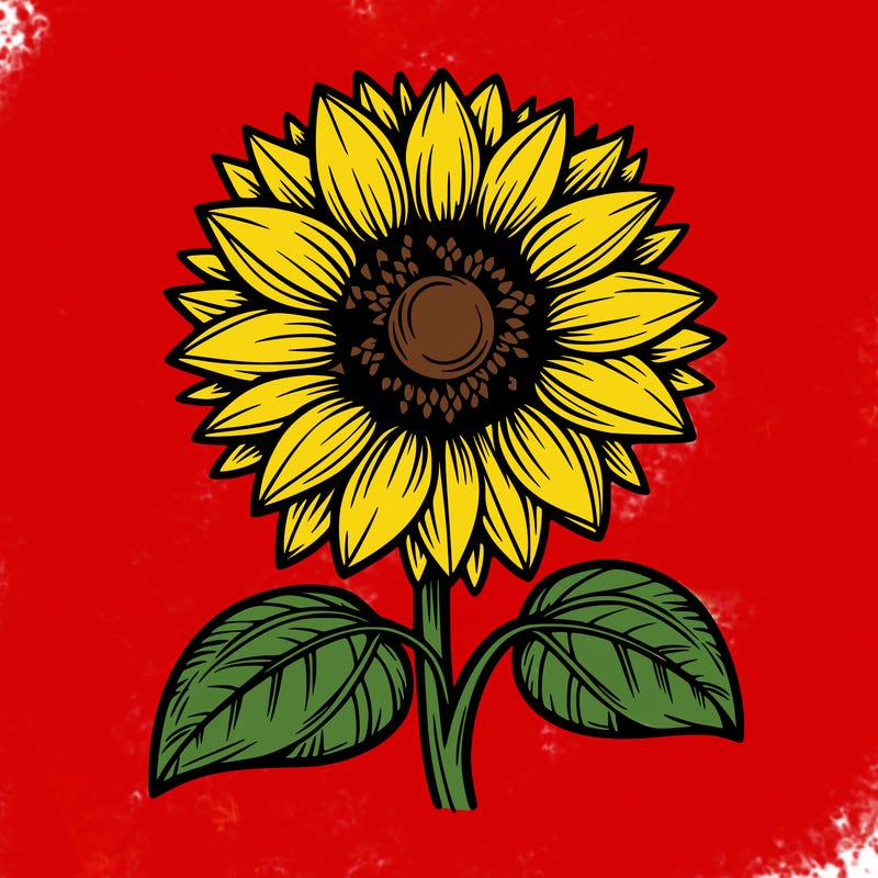 sunflower