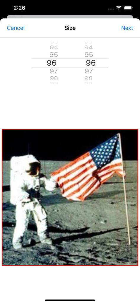 Interface de Mosaic Designer pour LEGO montrant la sélection de la taille de la grille pour une photo d'alunissage