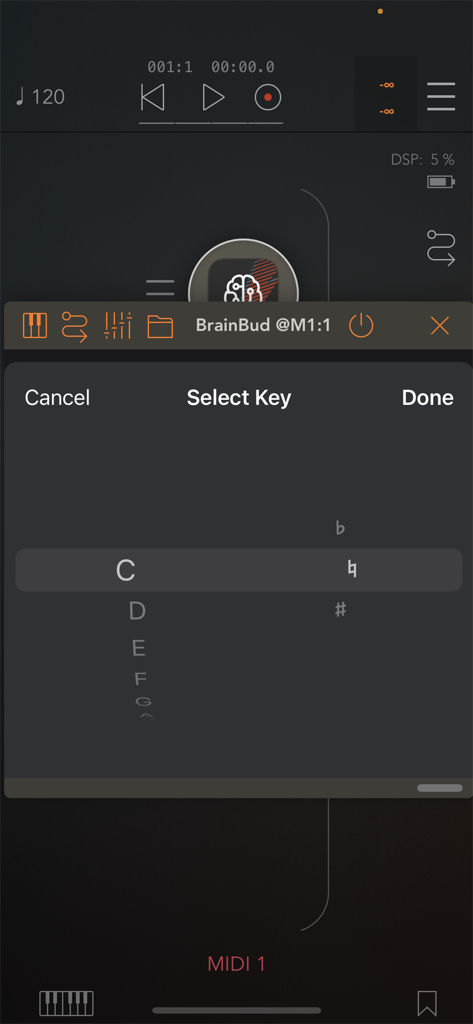 BrainBud - Bud App Controller - Interfaz de la aplicación BrainBud mostrando el menú de selección de teclas musicales
