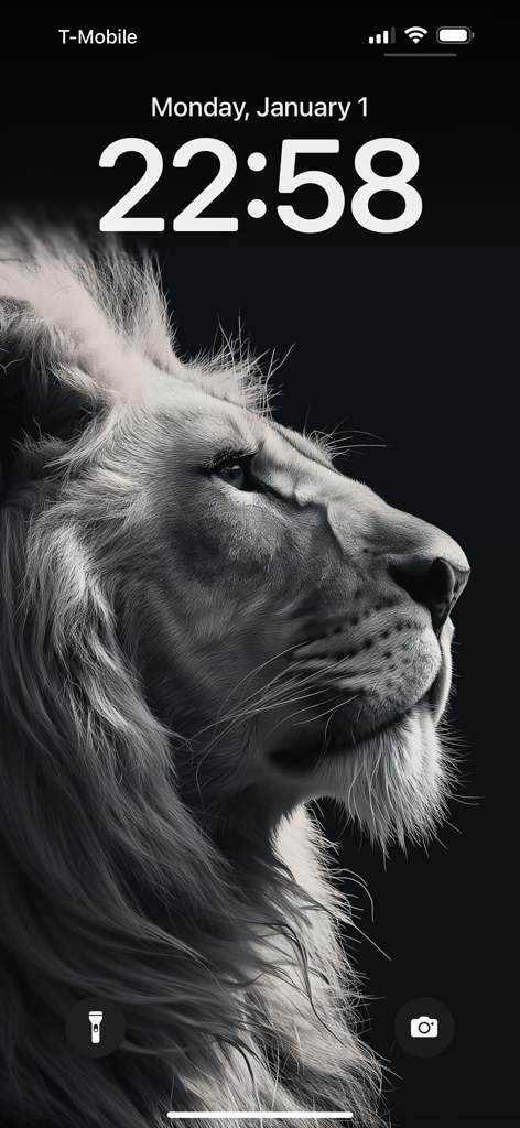 Majestic black and white lion 4K wallpaper on an iPhone lock screen