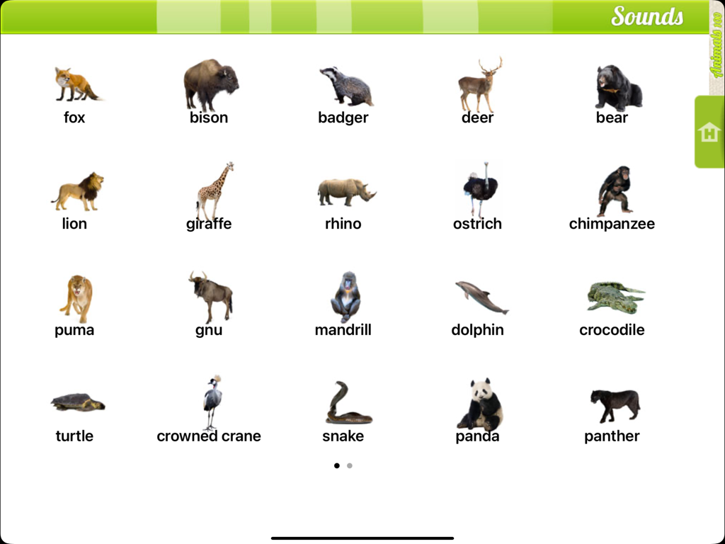 Real Animals 360 - Une grille de photos d'animaux réalistes avec leurs noms dans la section sons de l'application Real Animals 360.