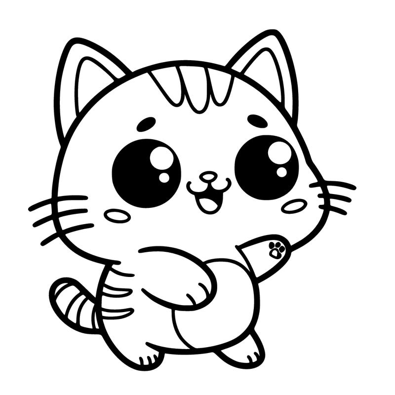 funny cat