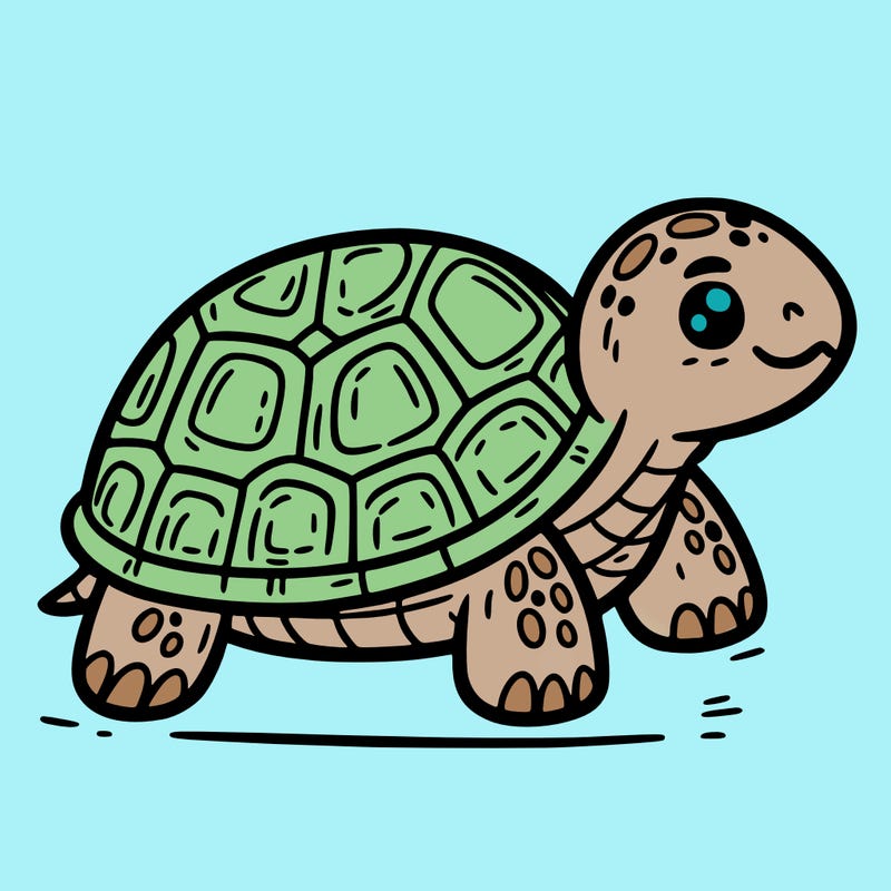 turtle