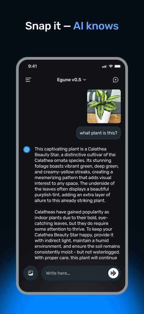 에군 챗 모바일 앱이 사진에서 식물을 식별하고 세부 정보를 제공하는 AI를 보여줍니다.