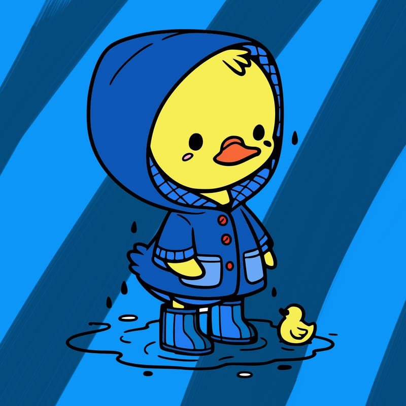 baby duck in a rain coat and boots, in a puddle while it’s raining