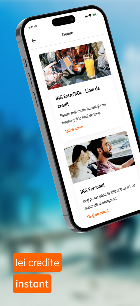 ING HomeBank - ING HomeBank mobile App-Oberfläche mit Optionen für Kreditlinien und Privatkredite