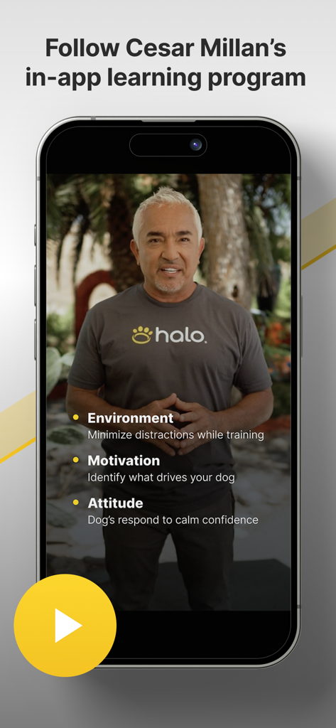 Halo Collar - App Halo Collar con il programma di addestramento di Cesar Millan con suggerimenti su ambiente, motivazione e atteggiamento