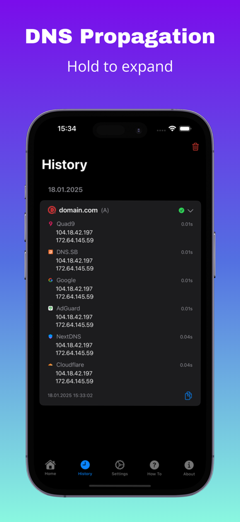 Écran d'historique de l'application DNS Propagation montrant les résultats de recherche DNS pour un domaine auprès de divers fournisseurs.