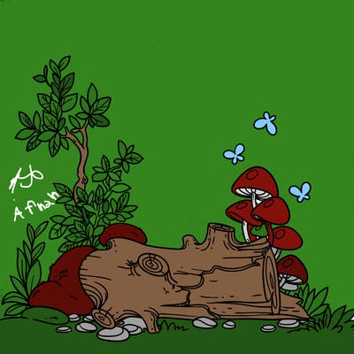 places_11