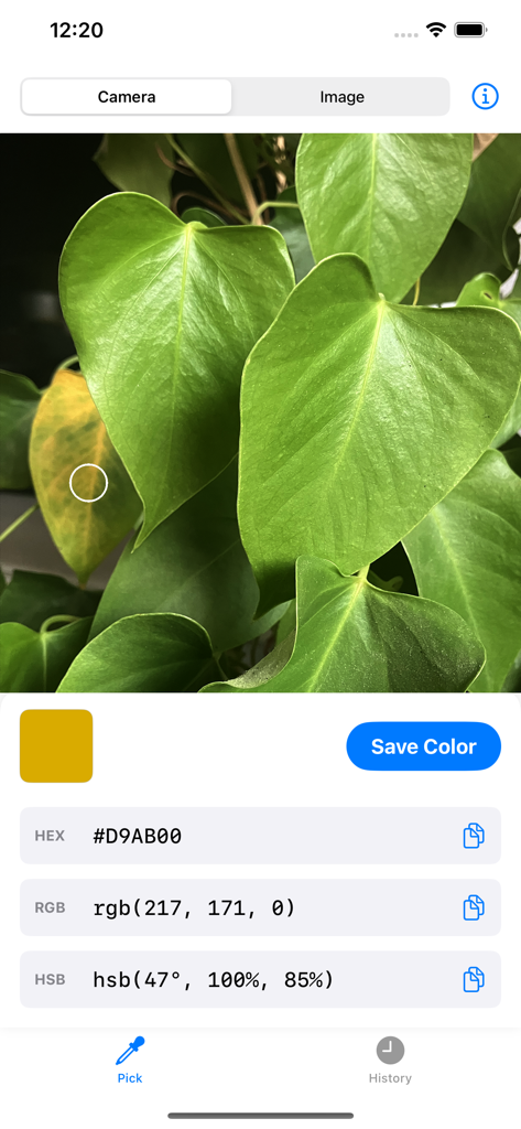 Dev Color Picker 앱이 카메라를 통해 추출된 노란색 HEX 및 RGB 코드를 보여줌